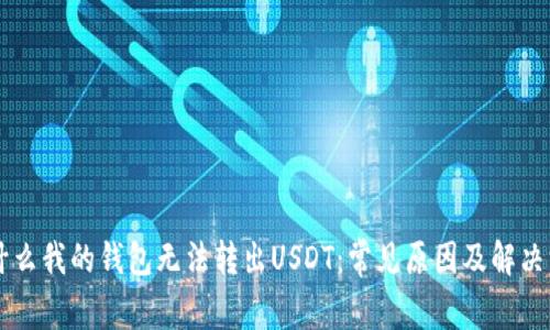 为什么我的钱包无法转出USDT：常见原因及解决方法