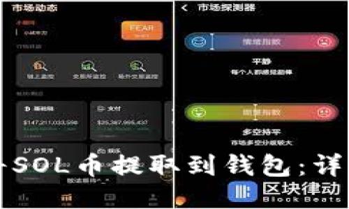 如何将SOL币提取到钱包：详细指南
