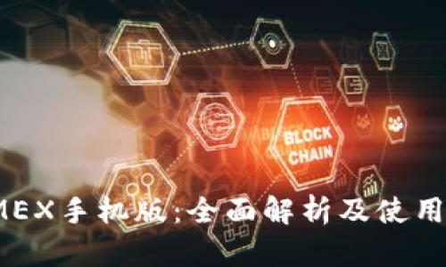 BitMEX手机版：全面解析及使用指南