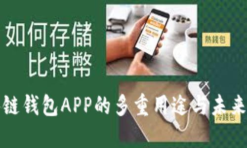 国内区块链钱包APP的多重用途与未来发展趋势