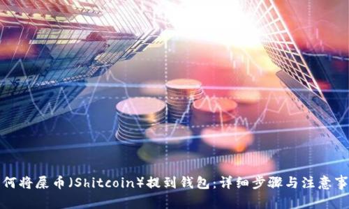 如何将屎币（Shitcoin）提到钱包：详细步骤与注意事项