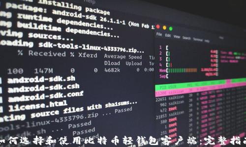 
如何选择和使用比特币轻钱包客户端：完整指南