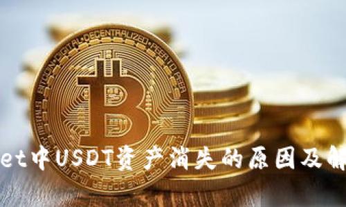 tpWallet中USDT资产消失的原因及解决方法