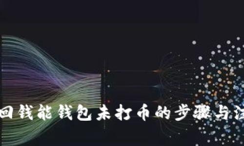 如何追回钱能钱包未打币的步骤与注意事项