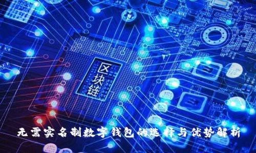 无需实名制数字钱包的选择与优势解析
