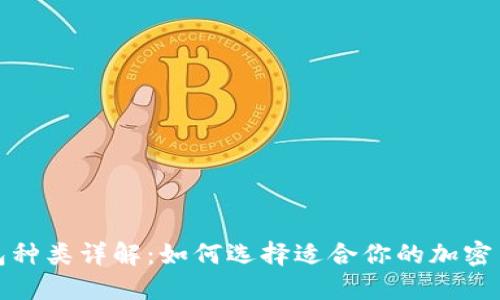 加密钱包种类详解：如何选择适合你的加密货币钱包