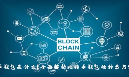 比特币钱包是什么？全面解析比特币钱包的种类与安全性