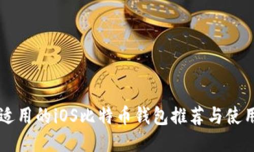 国内适用的iOS比特币钱包推荐与使用指南