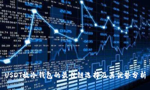 USDT放冷钱包的最佳链选择及其优势分析