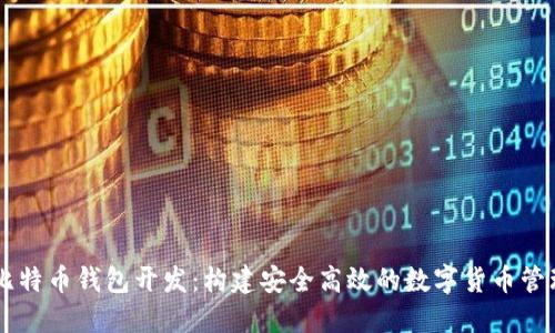 专业比特币钱包开发：构建安全高效的数字货币管理平台