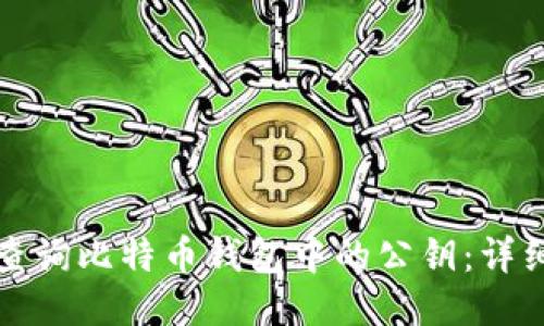 如何查询比特币钱包中的公钥：详细指南