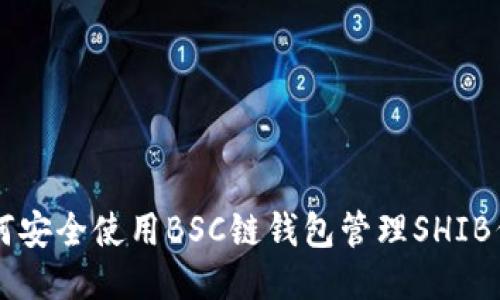 如何安全使用BSC链钱包管理SHIB代币