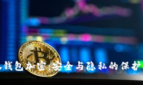 小狐钱包加密：安全与隐私的保护措施