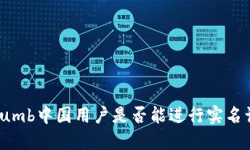 Bithumb中国用户是否能进行实名认证？