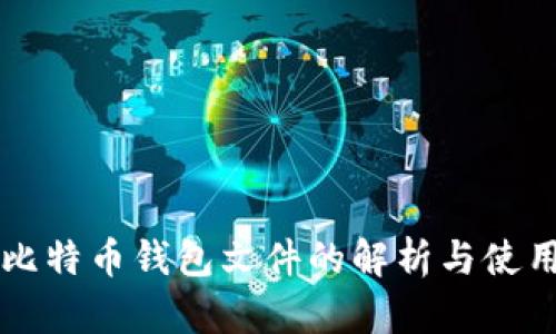 详解比特币钱包文件的解析与使用指南