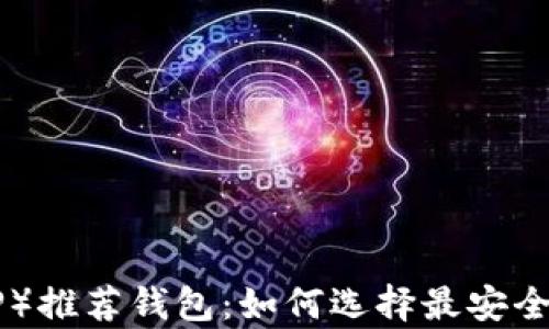 
瑞波币（XRP）推荐钱包：如何选择最安全的存储方案
