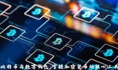 比特币与数字钱包：掌握
