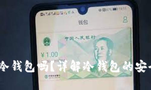 USDT可以放在冷钱包吗？详解冷钱包的安全性与使用方法
