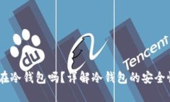 USDT可以放在冷钱包吗？详
