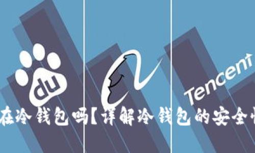 USDT可以放在冷钱包吗？详解冷钱包的安全性与使用方法