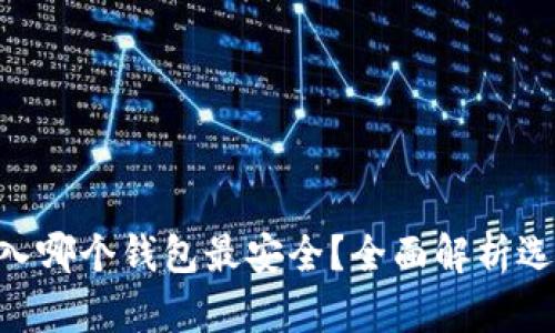 屎币（Shitcoin）存入哪个钱包最安全？全面解析选择安全钱包的要点