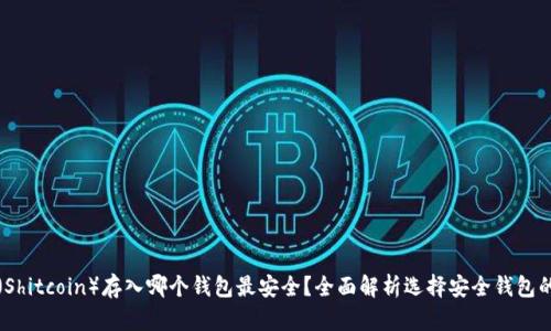 屎币（Shitcoin）存入哪个钱包最安全？全面解析选择安全钱包的要点