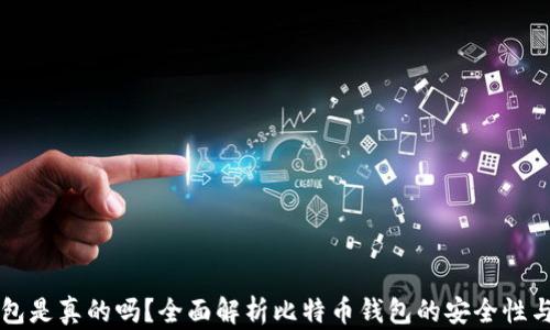 
比特币钱包是真的吗？全面解析比特币钱包的安全性与选择方法