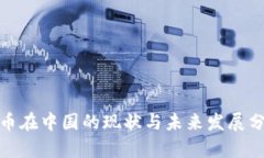 Pi币在中国的现状与未来发