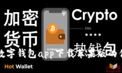 全面解析数字钱包app下载