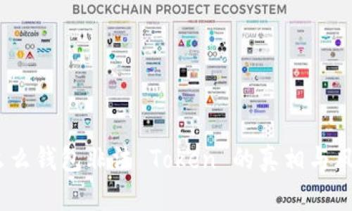 揭秘：么么钱包非法 Token 的真相与风险解析