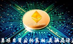 数字货币交易项目背后的