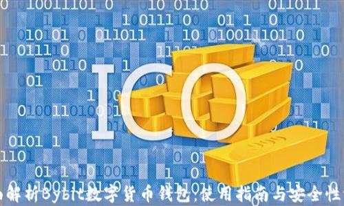 
全面解析Bybit数字货币钱包：使用指南与安全性评估