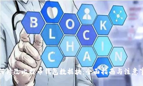 如何修改比特币钱包数据块：全面指南与注意事项