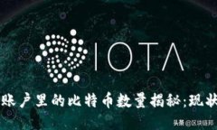 中本聪账户里的比特币数