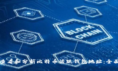 如何查看和分析比特币活跃钱包地址：全面指南