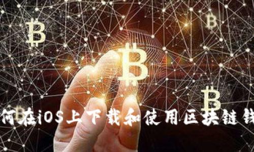 如何在iOS上下载和使用区块链钱包
