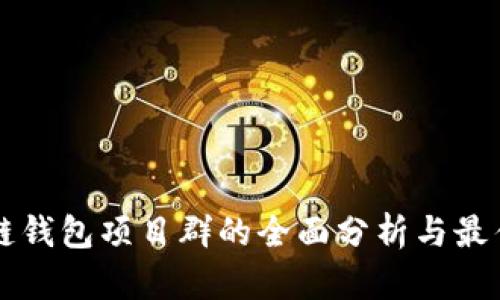 区块链钱包项目群的全面分析与最佳实践
