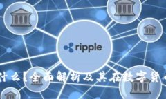 虚拟币钱包是什么？全面