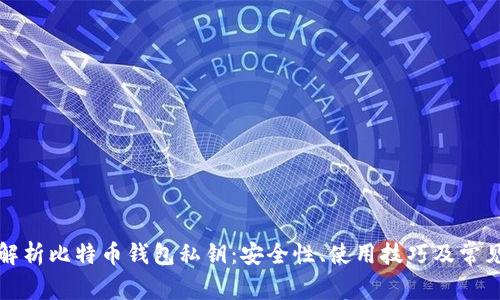 全面解析比特币钱包私钥：安全性、使用技巧及常见问题