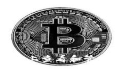 如何在Mac上查看和管理您的钱包