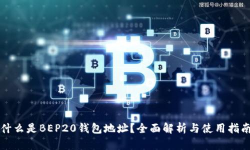 什么是BEP20钱包地址？全面解析与使用指南
